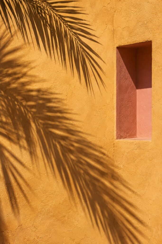 Palm-frond shadows across an ochre wall beside a pink recess